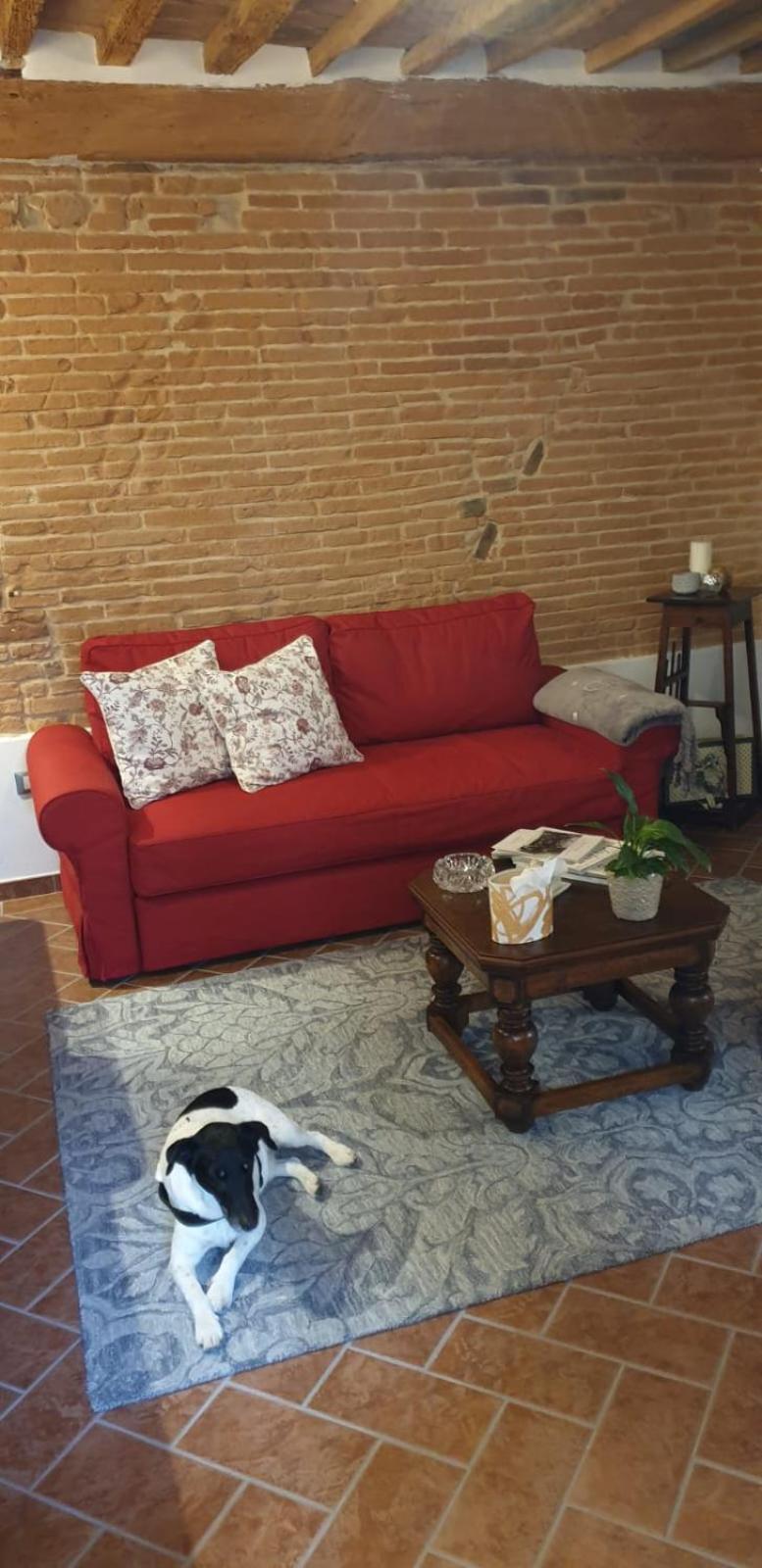 Appartamenti La Rocca Palaia Εξωτερικό φωτογραφία